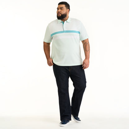 Essential Multi Stripe Cotton Jersey Short Sleeve Polo - Big &amp; Tall